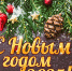 С наступающим Новым 2025 годом! - Центральная районная библиотека