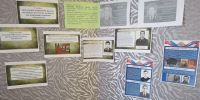 8 ноября - День памяти погибших при... - Технологический техникум